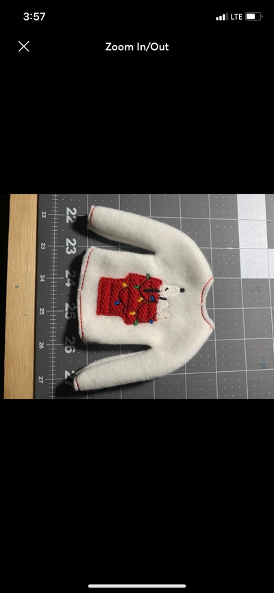 Dog elf sweater